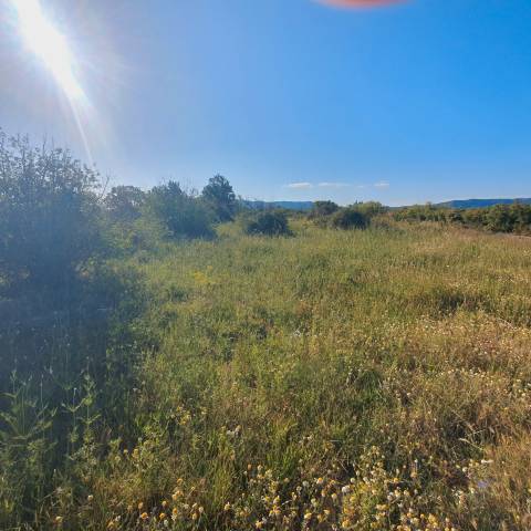 Terreno en Venta en Gandesa