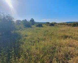 Land for sale in Gandesa