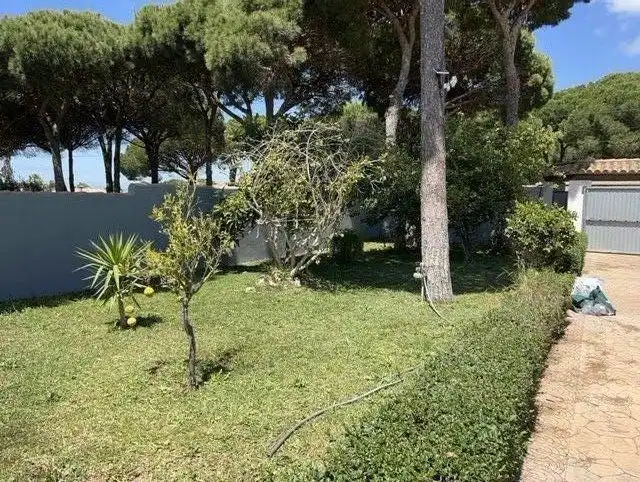 Jardí de Casa o xalet de lloguer en Chiclana de la Frontera amb Aire condicionat, Jardí privat i Terrassa