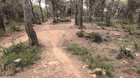 Foto 4 de Terreno en venta en Torre Vella - Torre Gran - Les Dunes, L'Estartit