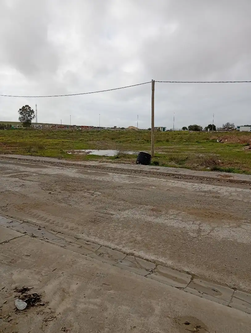 Industrial land for sale in Lebrija