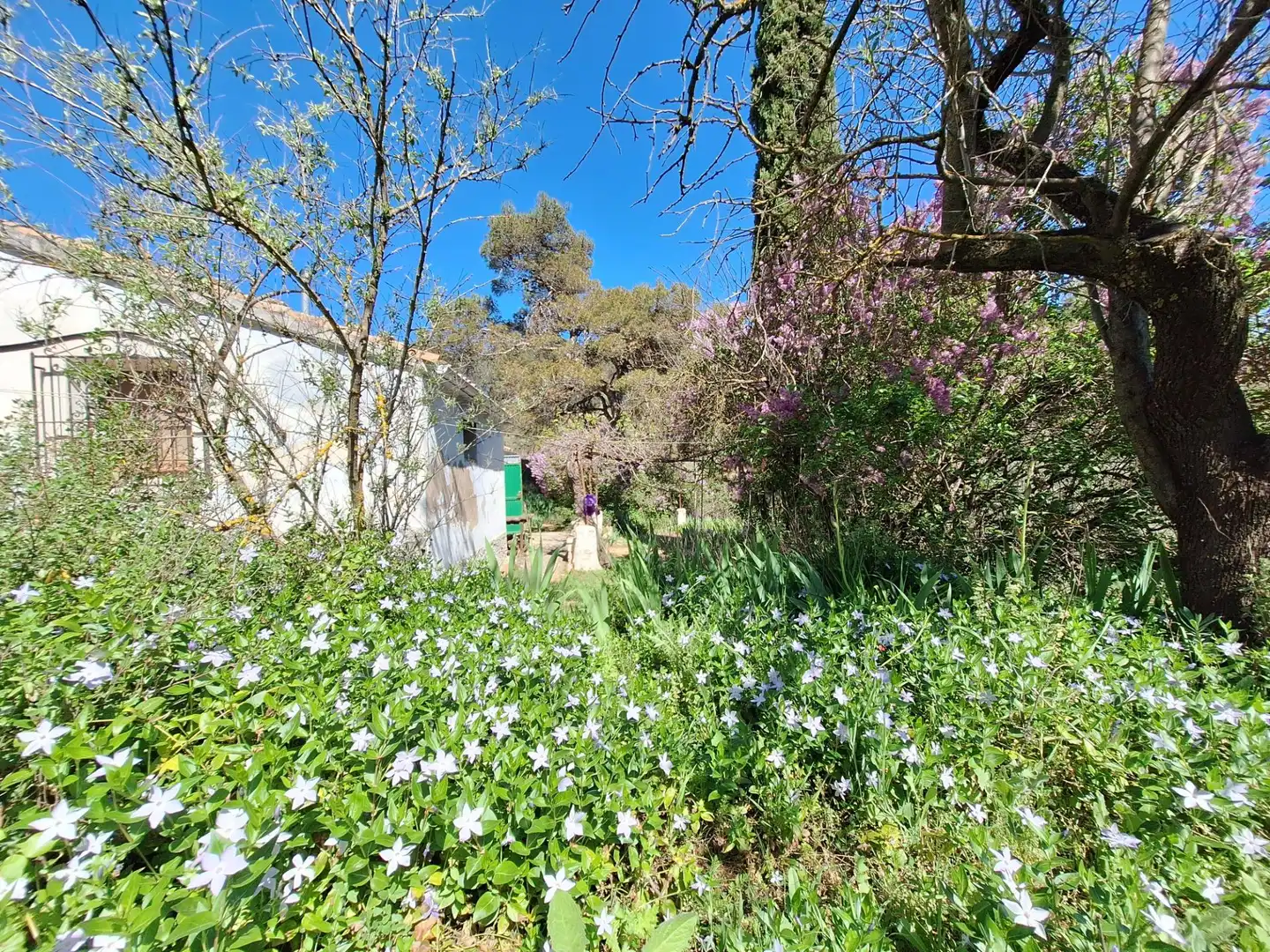 Finca rústica en venda en Alcoy / Alcoi amb Traster i Moblat