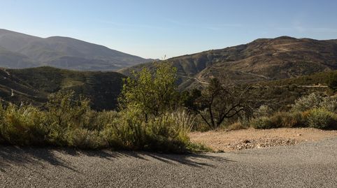 VENTA DE BONITA FINCA DE OLIVOS EN LANJARÓN GRANADA