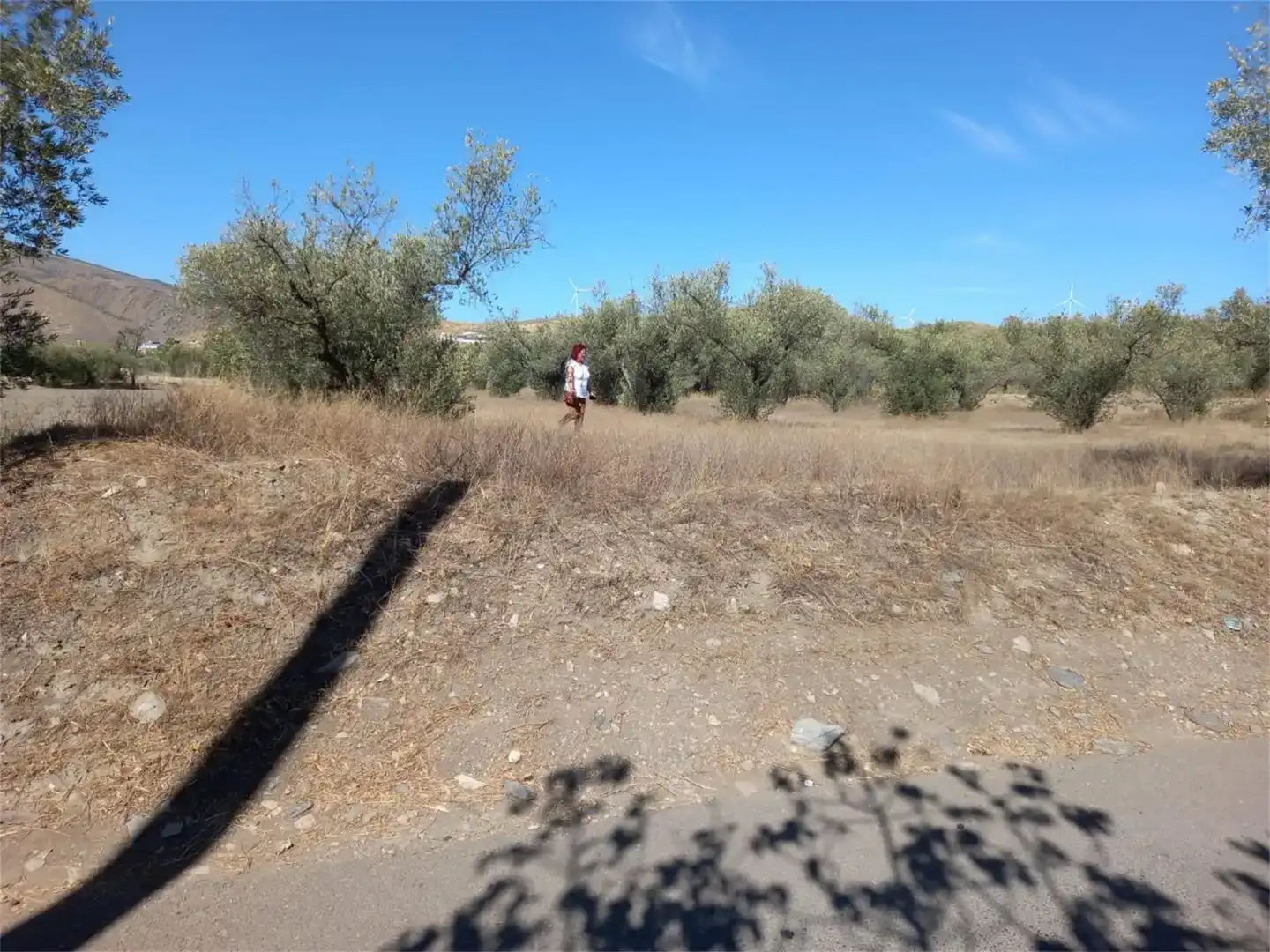 Terreno en venta en Las Tres Villas, Almería