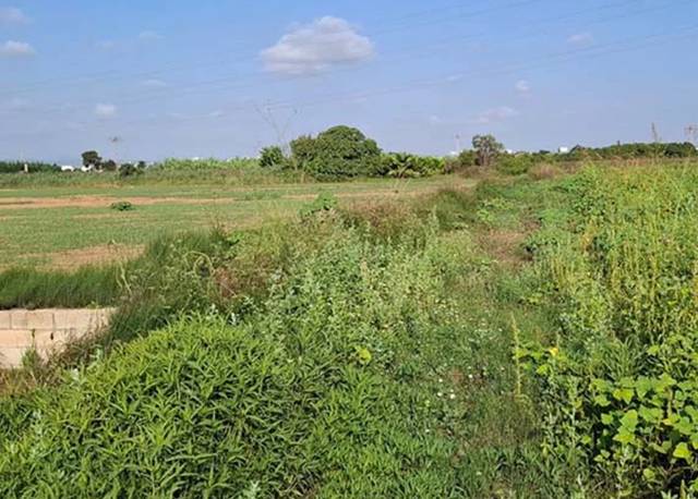 Terreno en Venta en Silla