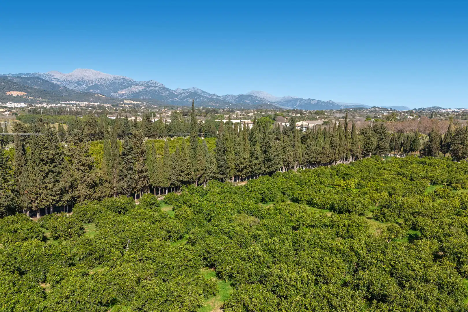 Vista exterior de Finca rústica en venda en Lloseta amb Aire condicionat, Calefacció i Parquet