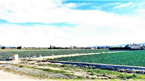 PARCELA EN DIPUTACION DE CAMPILLO, immagine 4