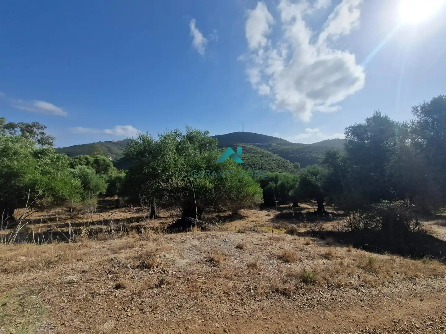 Rural land for sale in San José del Valle, imagen 11