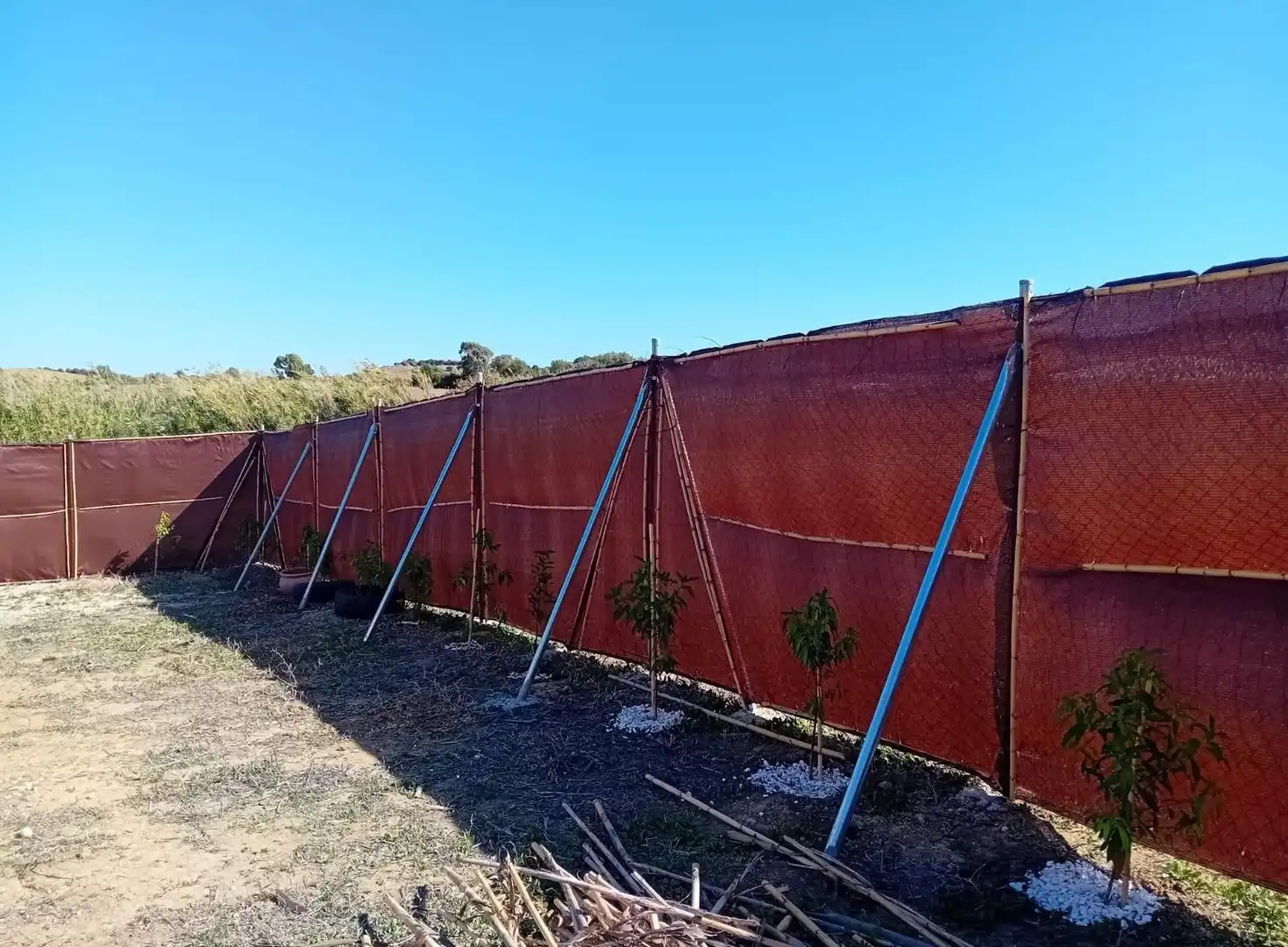 Terreno residencial en venta en Vejer, imagen 10