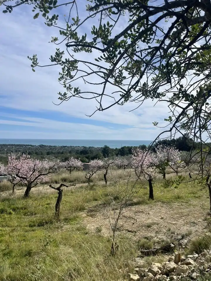 Finca rústica en venta en L'Ametlla de Mar 