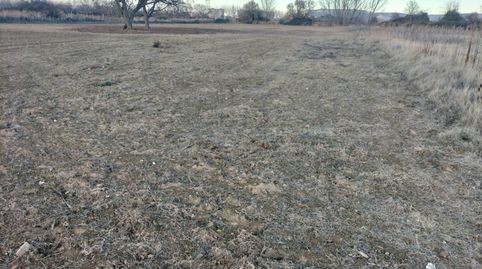 Photo 2 of Land for sale in Villamuriel de Cerrato, Villamuriel de Cerrato, Palencia
