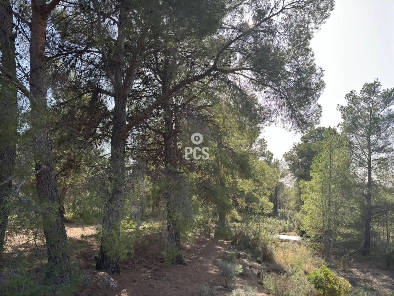 Terreny rústic en venda a Calle Sierra Espuña Anexo Balsa Grande 1 S/N, imagen 4