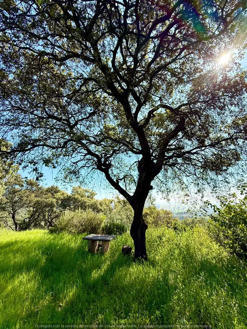 Vista exterior de Finca rústica en venda en Córdoba amb Jardí privat i Traster