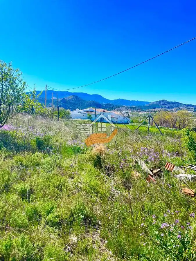 Villa in vendita a Vélez-Rubio, imagen 21