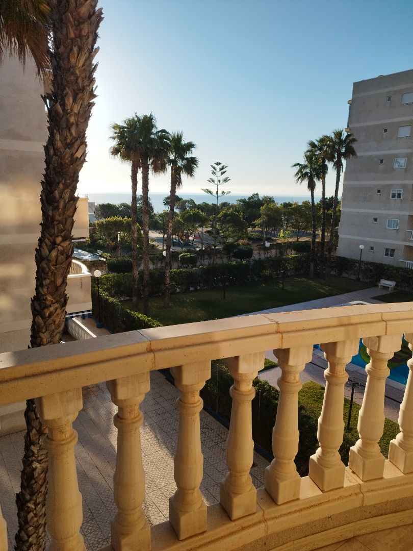 Apartamento de alquiler en Avenida Costa Blanca, 19, Los Arenales del Sol