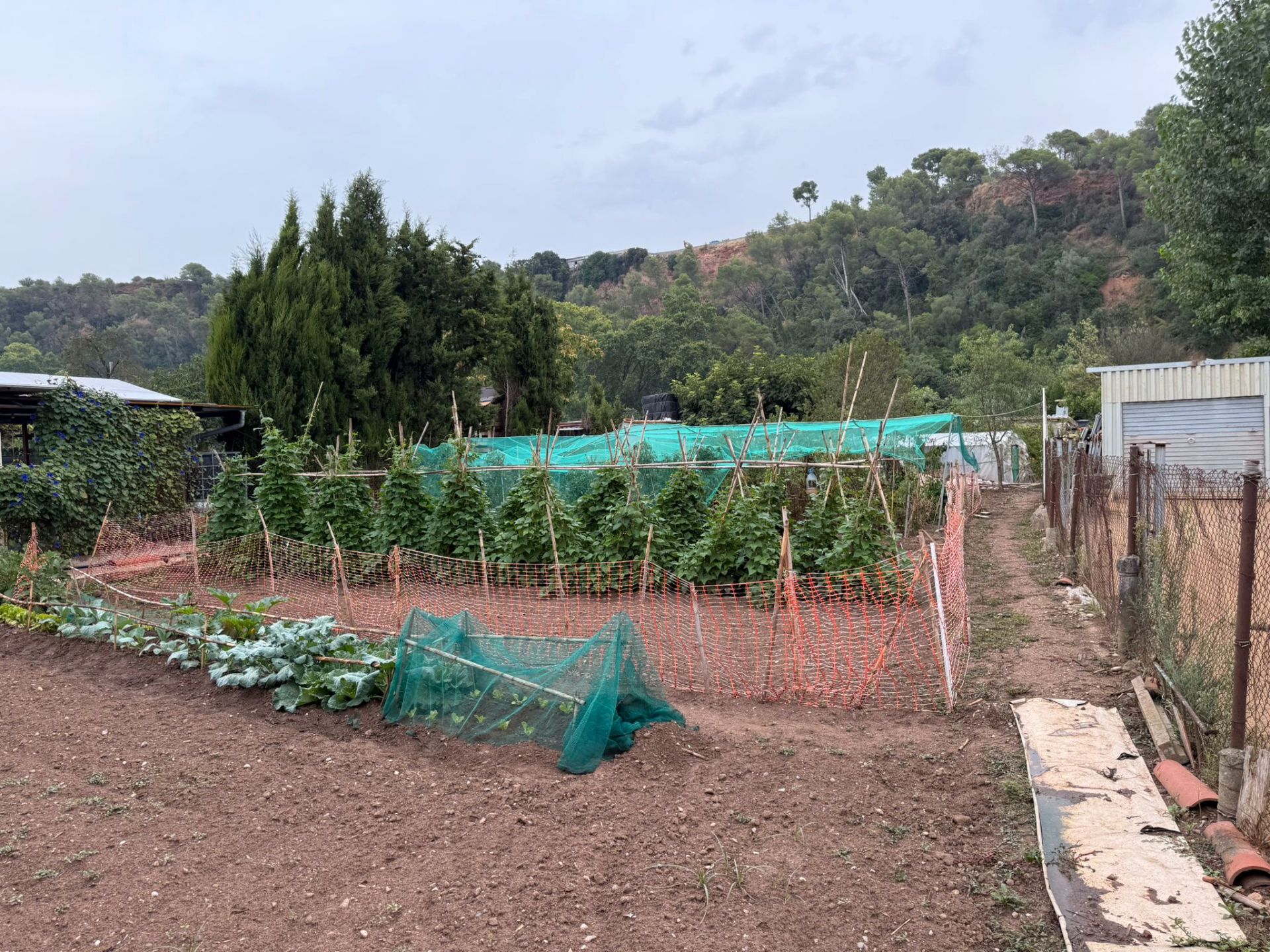 Garden of Land for sale in Sabadell