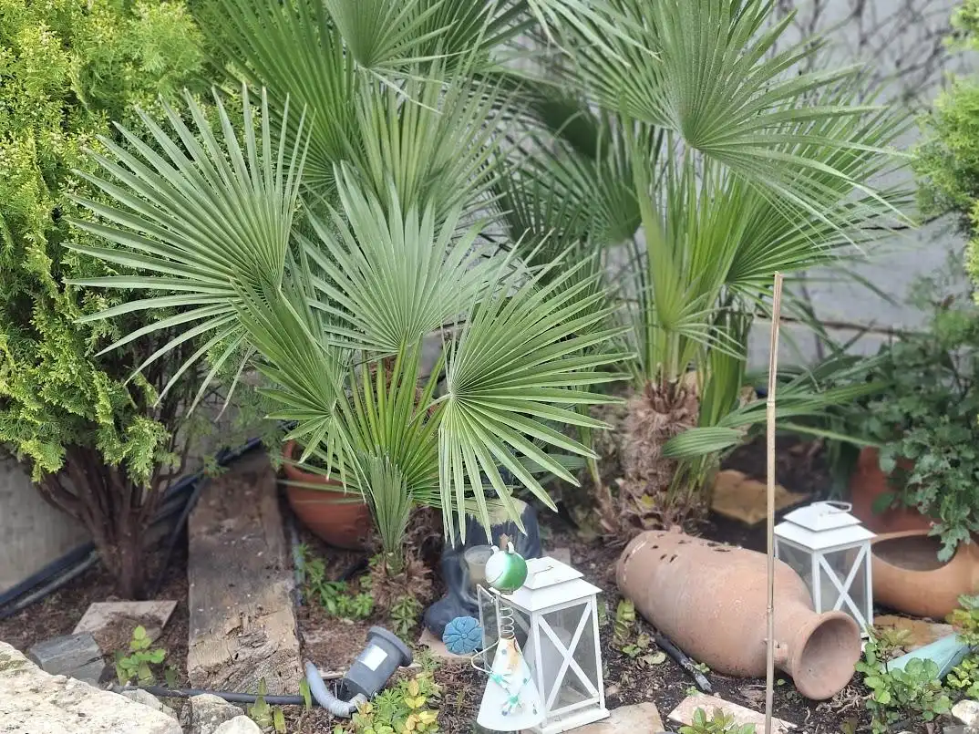Garden of Houses for sale in Hontecillas  with Air Conditioner, Private garden and Terrace