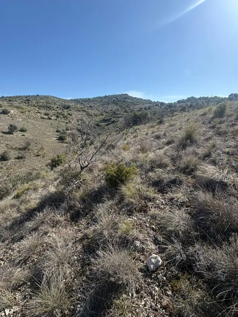 Terreno en venta en Carabaña
