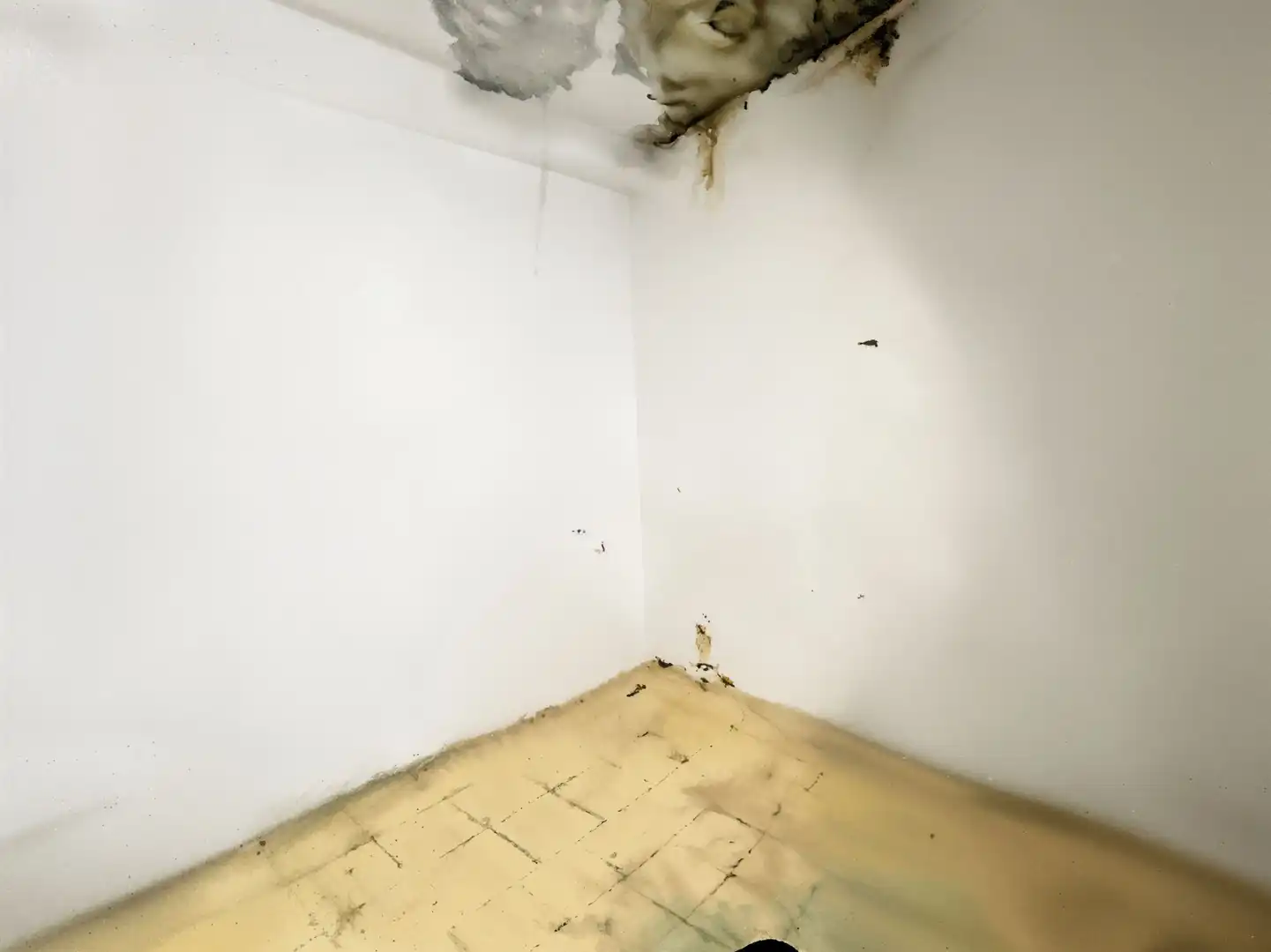 Casa in vendita a Jaraíz de la Vera, imagen 24