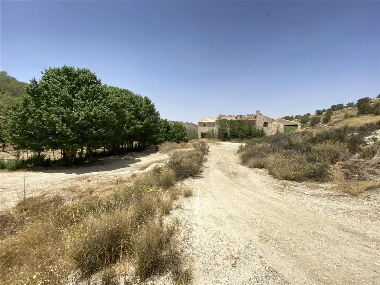 Land for sale in Jumilla
