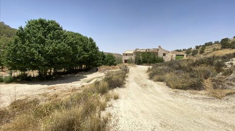 Venta de 12 Fincas Rústicas en Polígono Peralejo. Jumilla Nº SN Jumilla