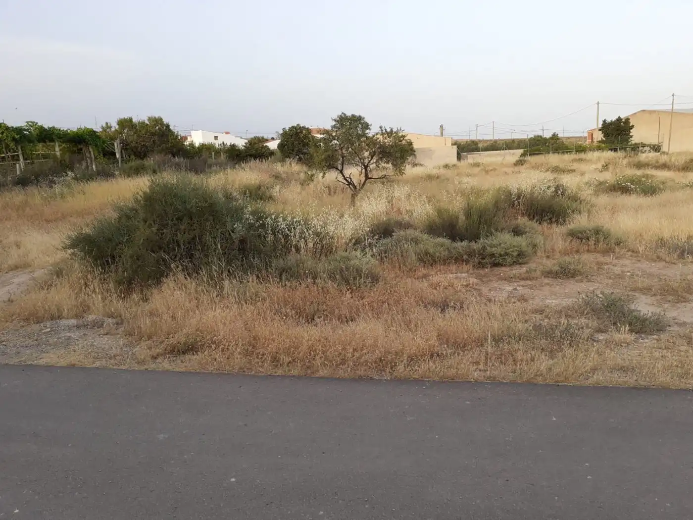 Terreny residencial en venda a Olula del Río, imagen 2