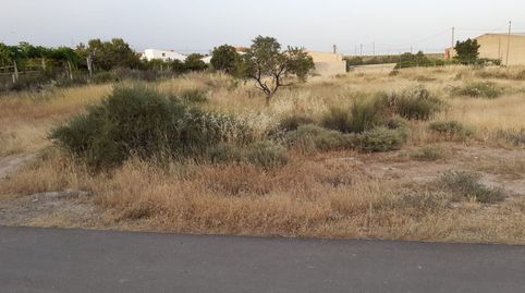 PARCELA EN HUITAR MAYOR, OLULA DEL RÍO, ALMERÍA., imatge 2