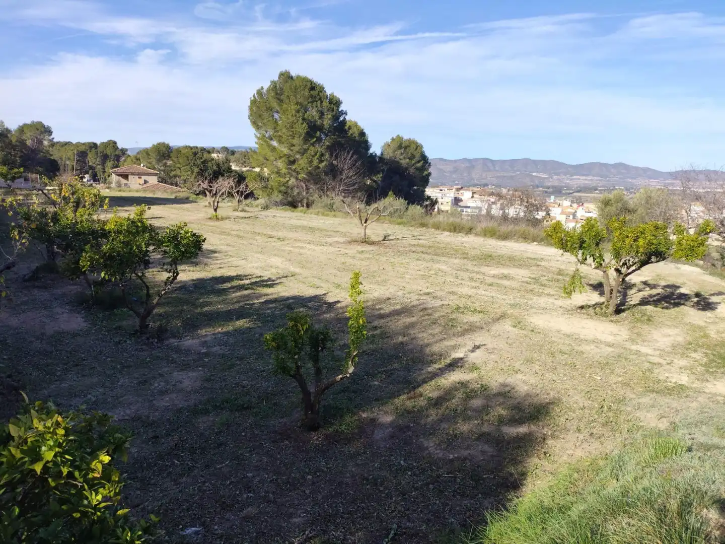Terreno residenziale in vendita a Agullent, imagen 16