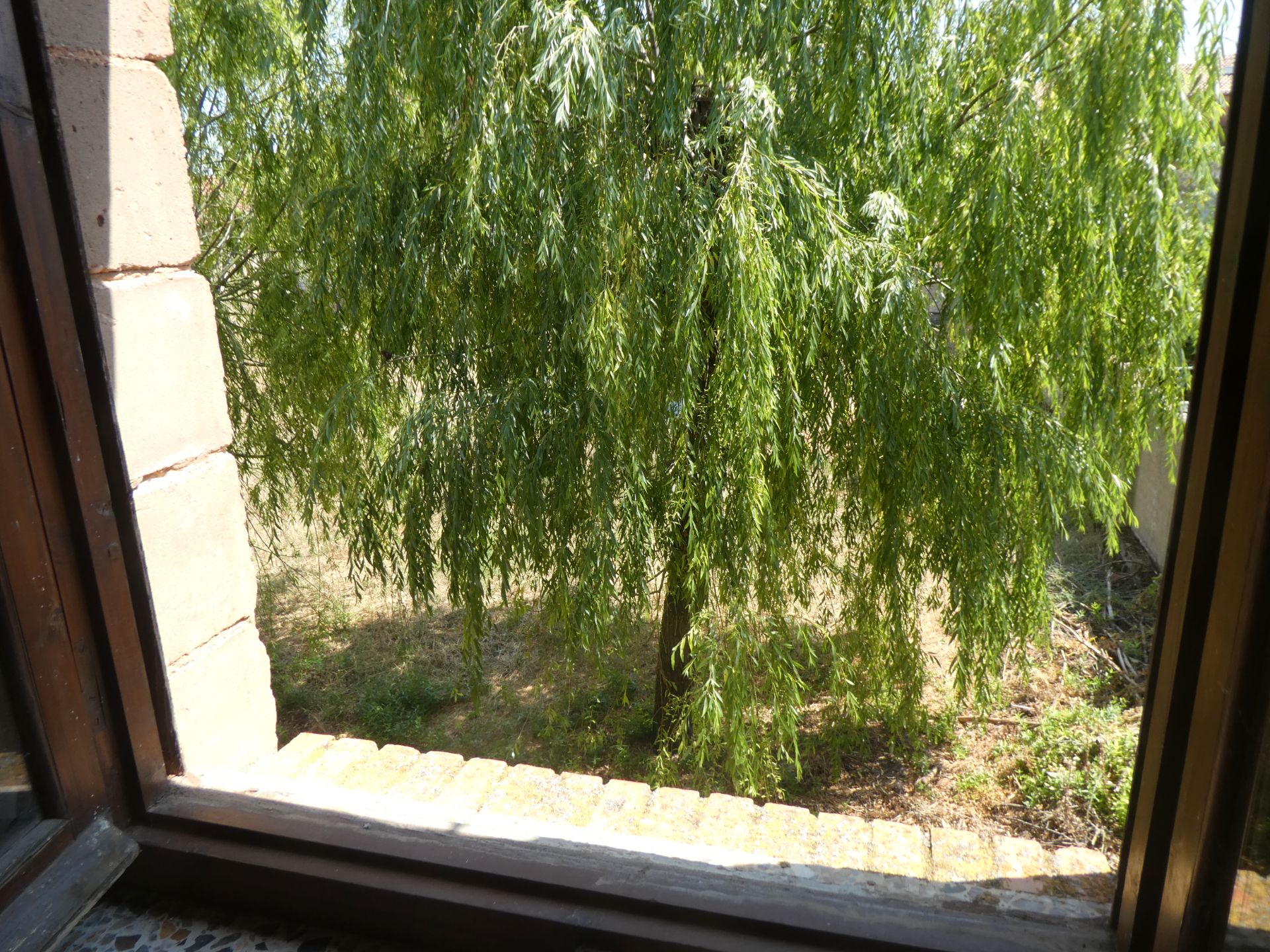 Jardí de Casa o xalet en venda en Mahamud amb Jardí privat, Piscina i Moblat