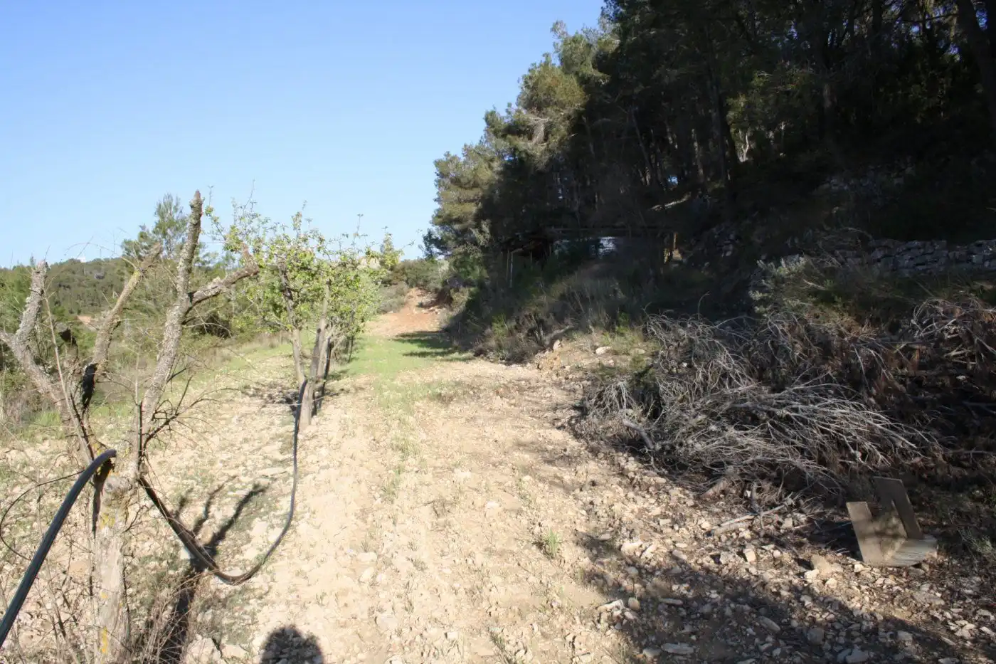 Country house zum Verkauf in Móra d'Ebre