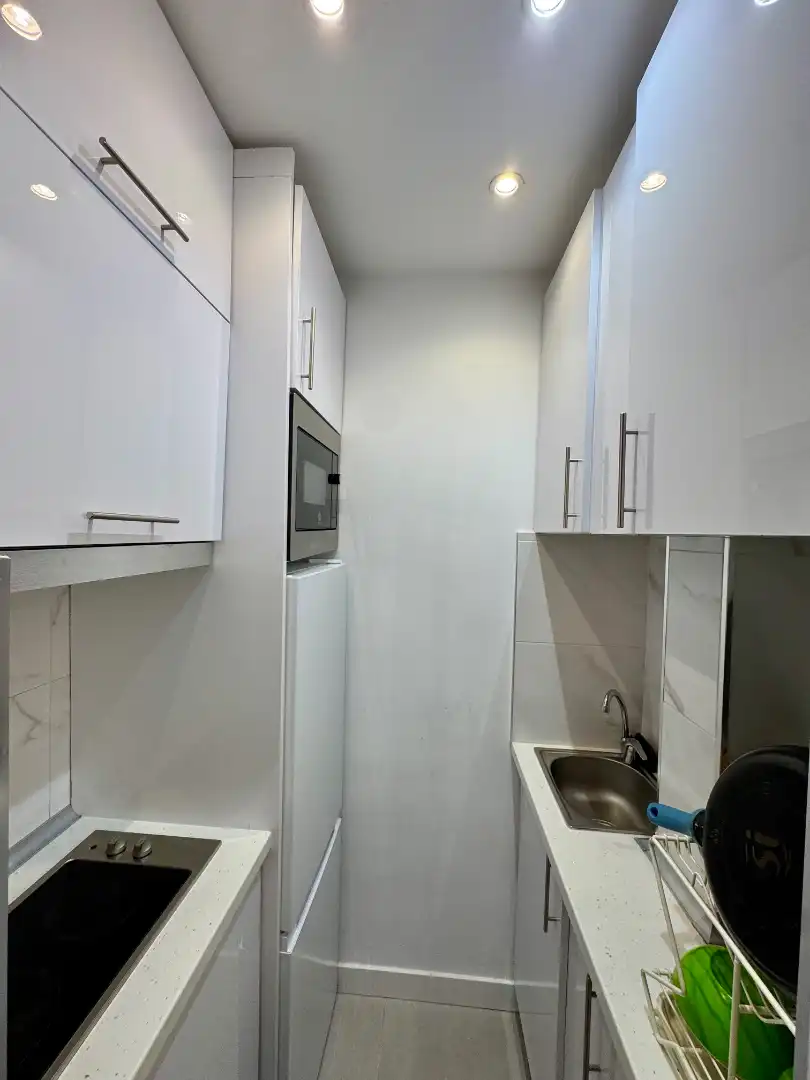 Kitchen of Apartments for rent in Madrid  with Air Conditioner, Heating and Furnished