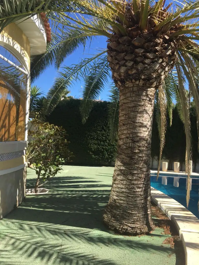 Jardí de Casa o xalet en venda en Rojales amb Jardí privat i Piscina