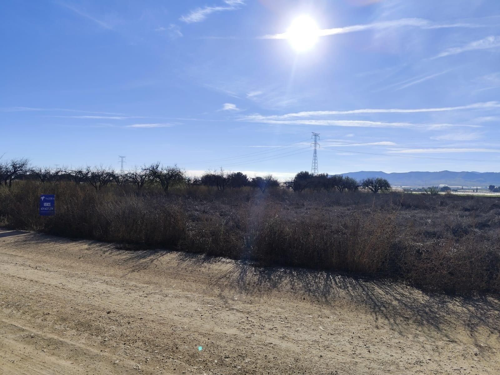 Grundstücke zum verkauf in Totana