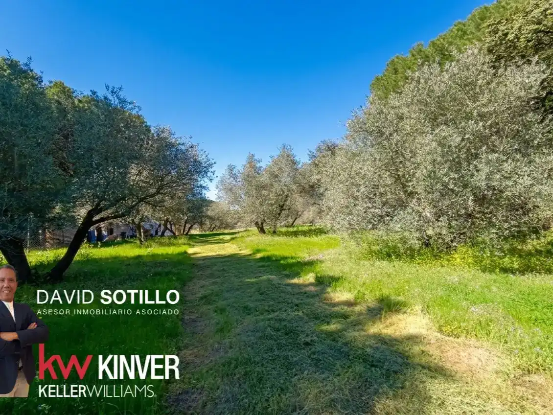Casa o chalet en venta en Bailén con Aire acondicionado, Jardín privado y Trastero