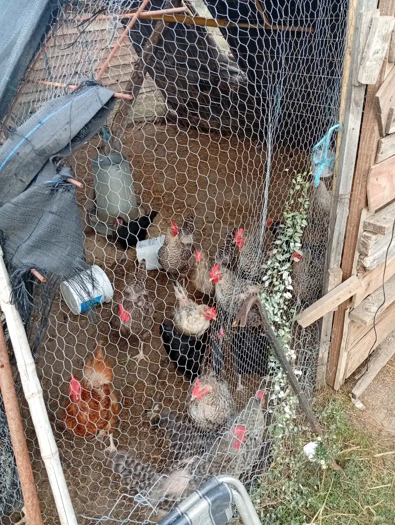 Finca rústica en venta en Candeleda