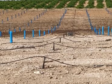Terreno rustico in vendita a Calle García Pavón 112