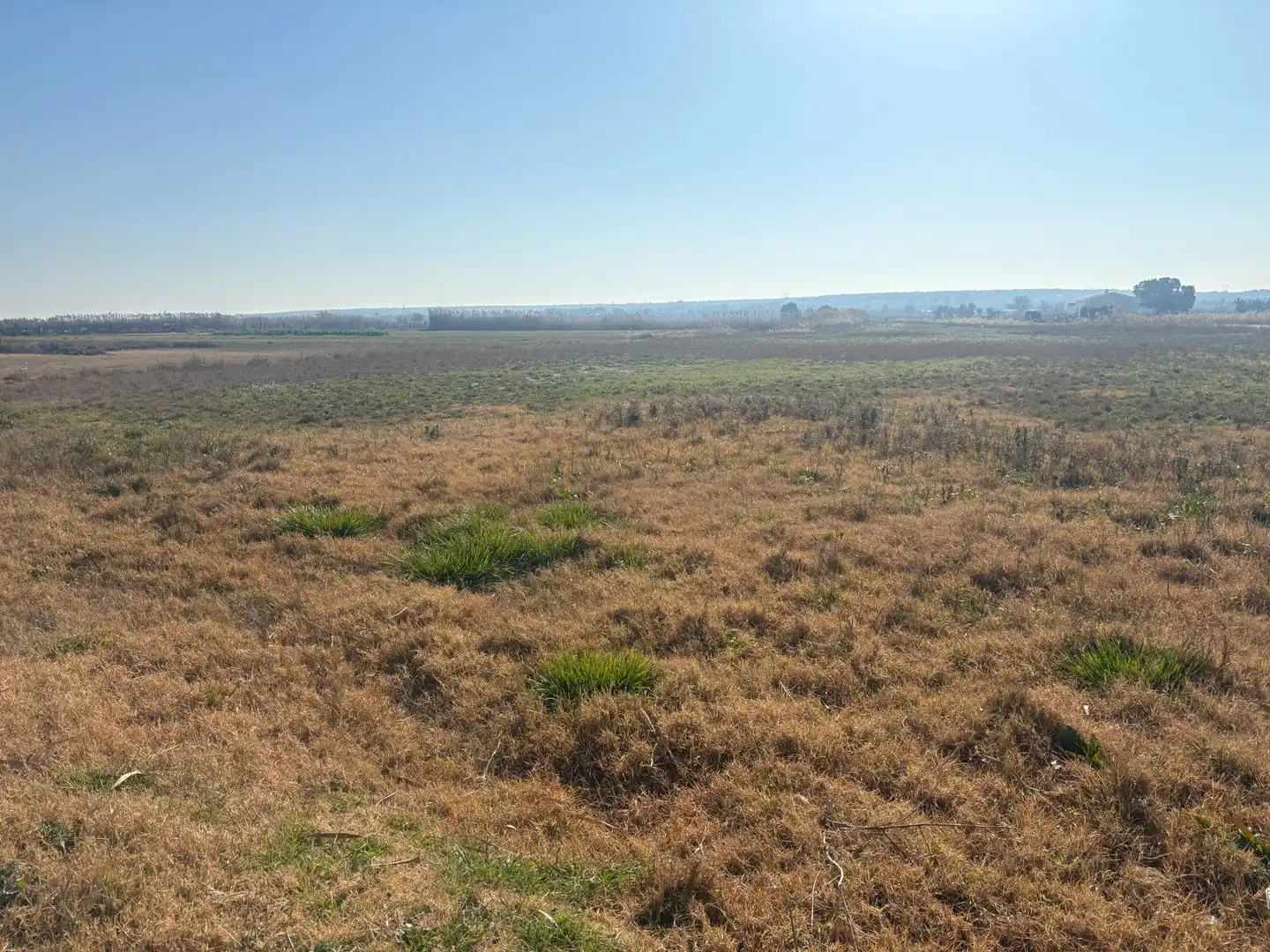 Terrain rustique à vendre à La Foia - Daimés - Asprella, imagen 3