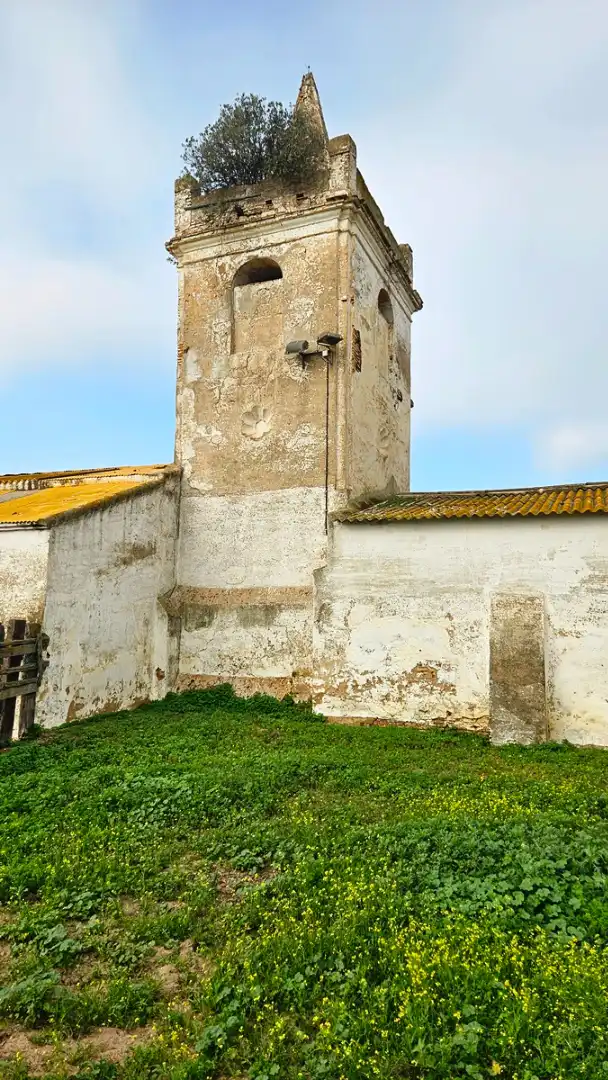 Terreni e lotti in vendita a La Hispanidad - Verdeluz, imagen 22