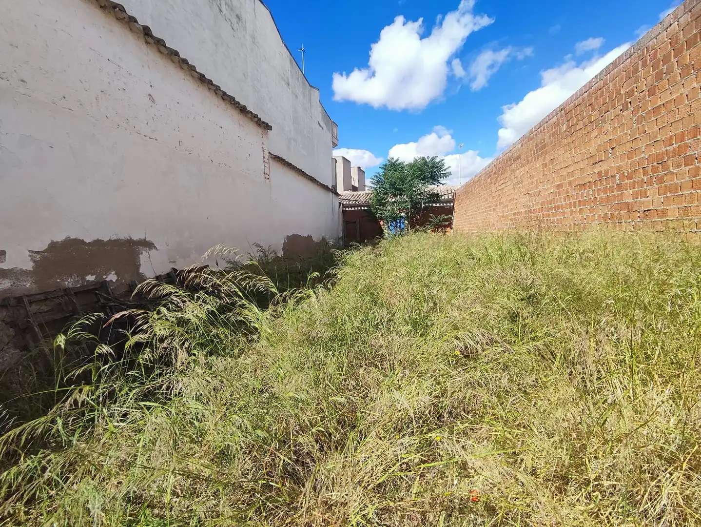 Terreny residencial en venda a Calle de Santa Catalina, imagen 15