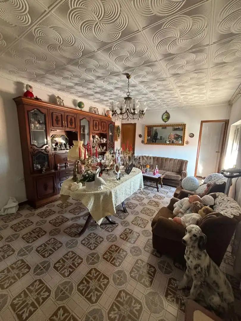 Sala de estar de Casa adosada en venta en Puertollano