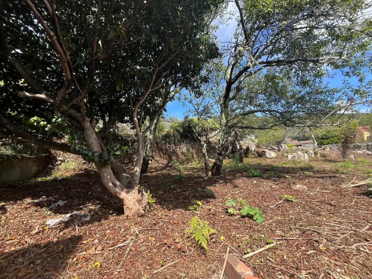 Residential land for sale in A Guarda, imagen 14