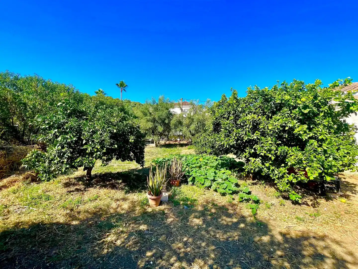 Finca rústica en venda a poligono, 14, Valle Romano Golf