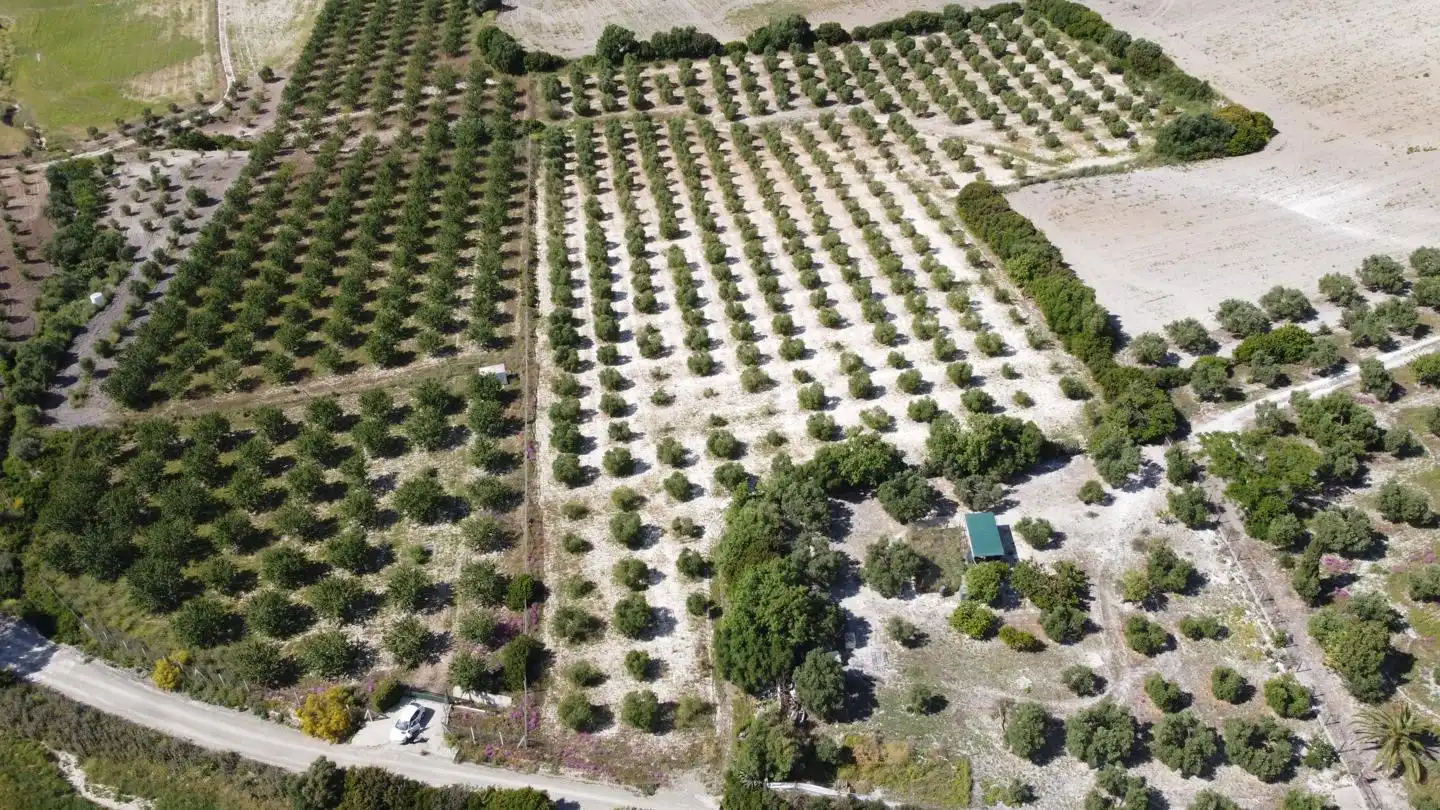 Residential zum Verkauf in El Cuervo de Sevilla