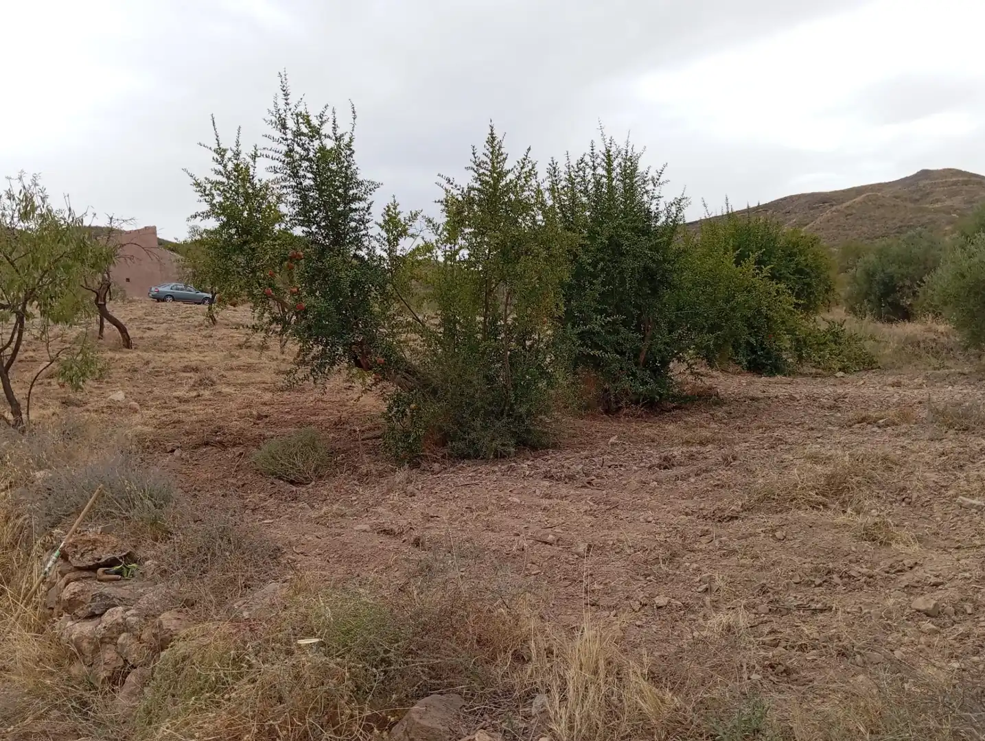 Terreni e lotti in vendita a Bolnuevo, imagen 26