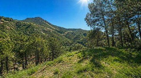 Foto 3 de Residencial en venta en Montemayor - Marbella Club, Benahavís