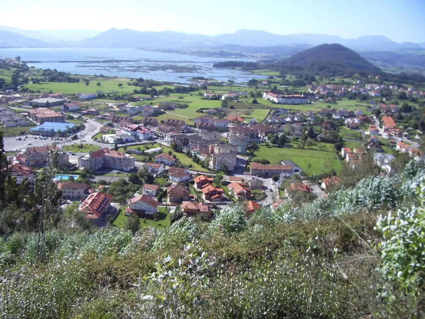 Argoños
