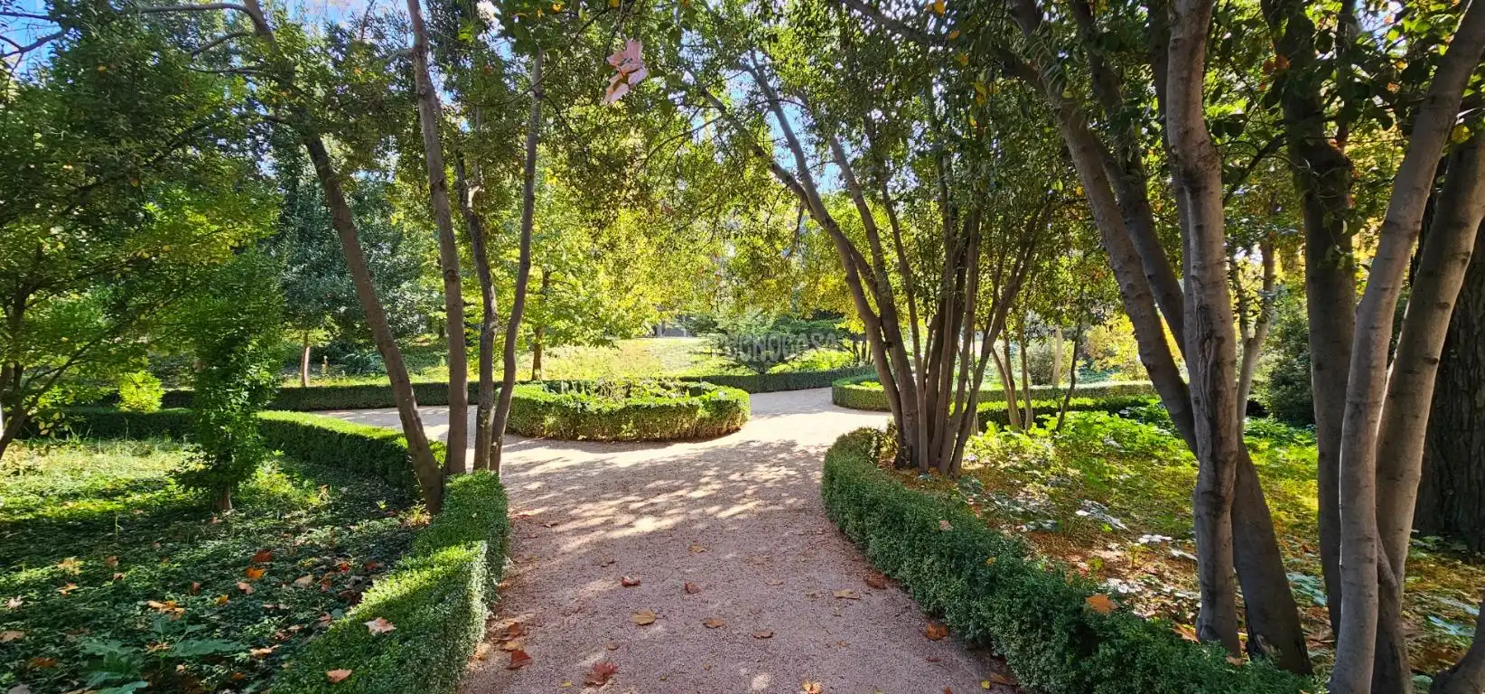 Jardí de Estudi en venda en Madrid amb Aire condicionat i Calefacció