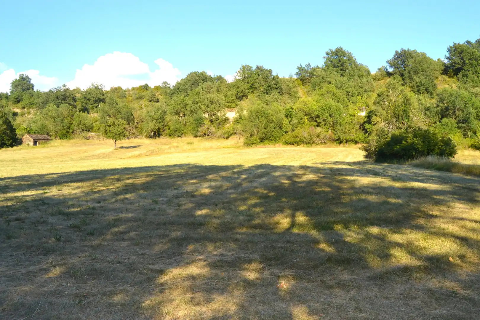Terreni e lotti in vendita a Jasa, imagen 4