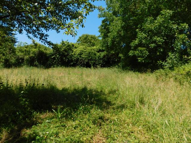 Terreno residencial en Venta en Calle Santo Tomás, 2 en Odieta