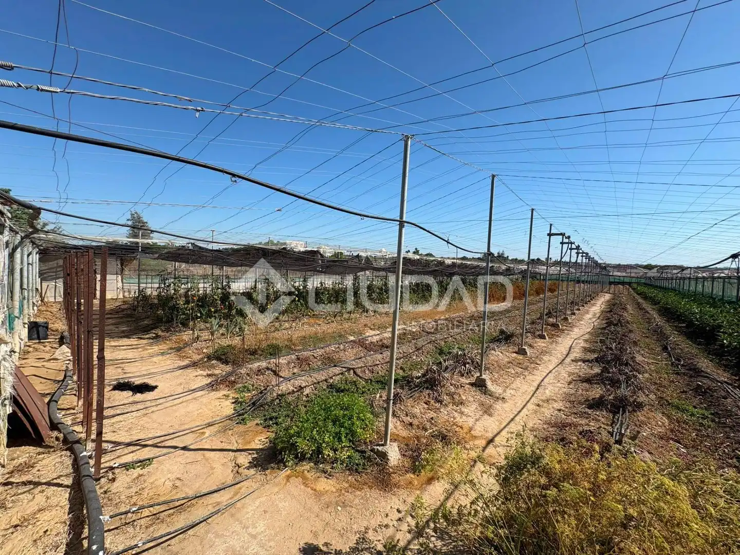 Terreno en venta en Sanlúcar de Barrameda